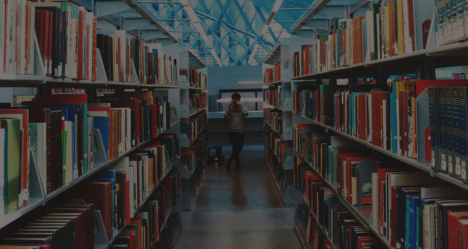 自动攻击网站工具下载